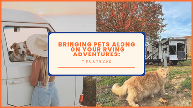 Tips & Tricks for Bringing Pets Along on Your RVing Adventures