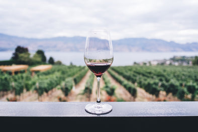 Eight North American Wine Regions to Visit In Your RV